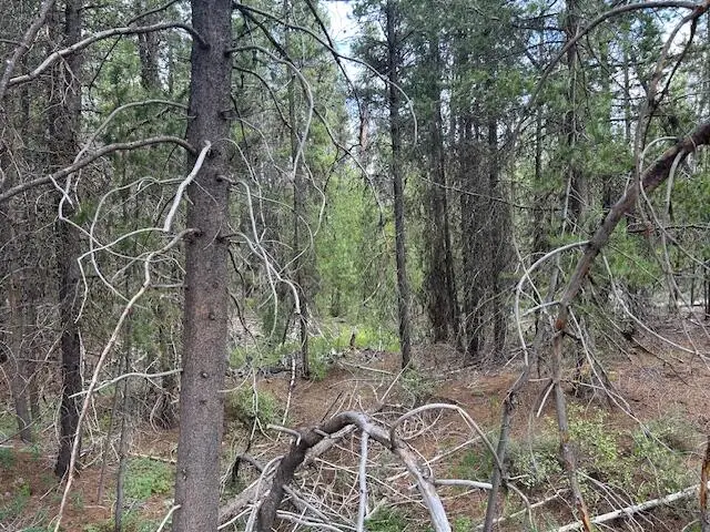 400 Hwy 58, Crescent Lake, OR 97733 - #3