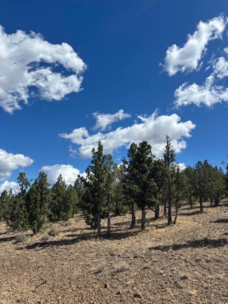 13092 SE Ethan Loop, Prineville, OR 97754 - #2