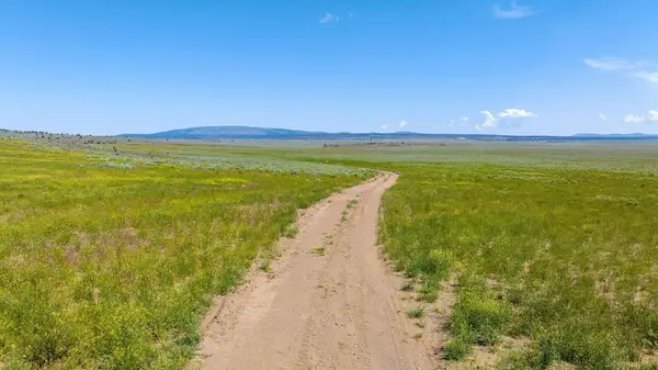 Quincy Road, Crane, OR 97732