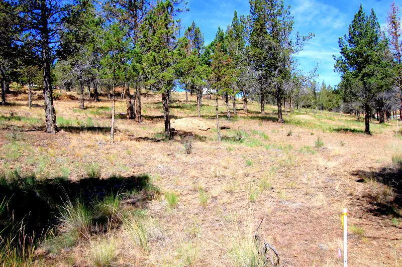 NE Tl 700 Irvine Avenue, Prineville, OR 97754 - #2