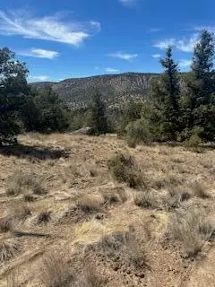 SE Renegade Loop #Lot 17 & 18, Prineville, OR 97754 - #2