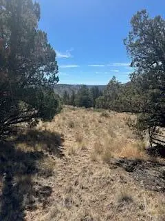 SE Renegade Loop #Lot 17 & 18, Prineville, OR 97754 - #3
