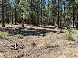 0 Gray Wolf Lane #Lot 11, Sprague River, OR 97639