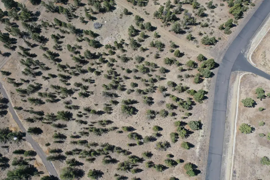 10164 SE Sundown Lane, Prineville, OR 97754 - #2