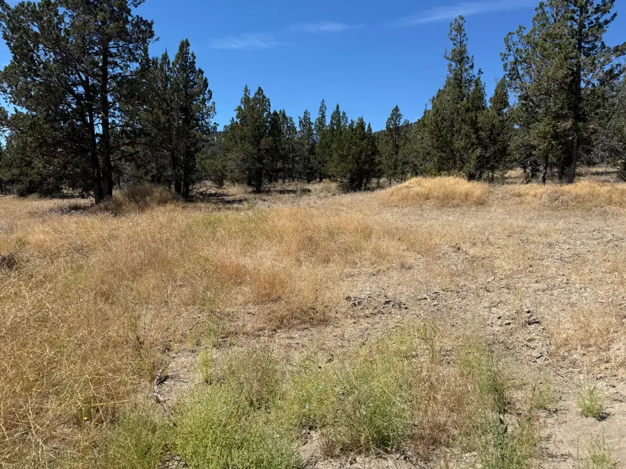 10164 SE Sundown Lane, Prineville, OR 97754 - #3