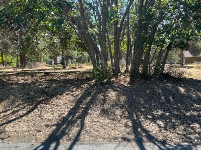 0 Cinnamon Teal Drive #Lot 593, Klamath Falls, OR 97601 - #1