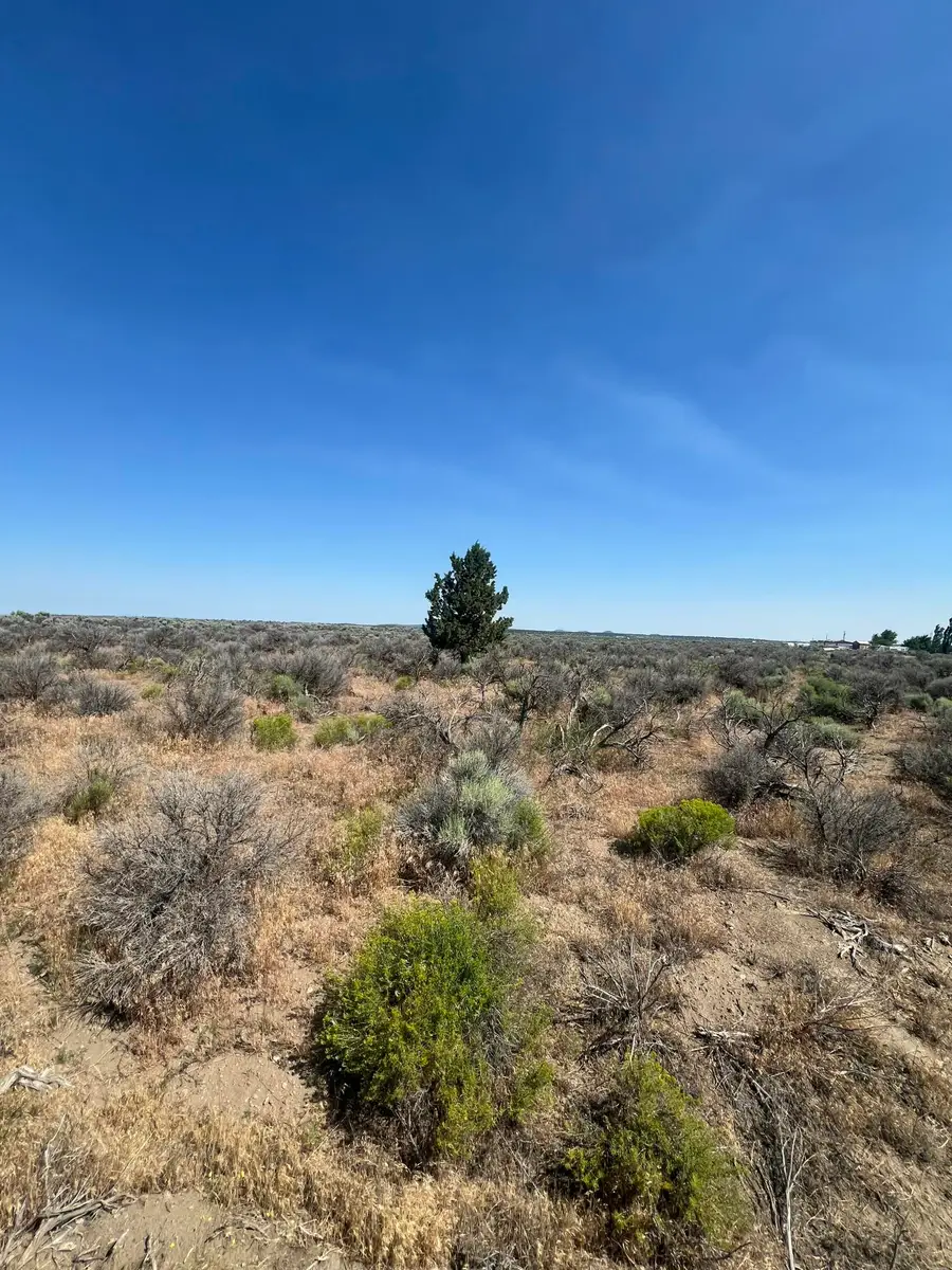 000 Glitter St., Christmas Valley, OR 97641 - #3
