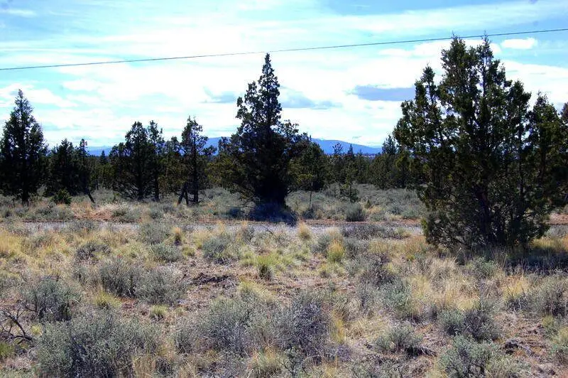 Tl 1501 Bluebird Drive, Prineville, OR 97754 - #2