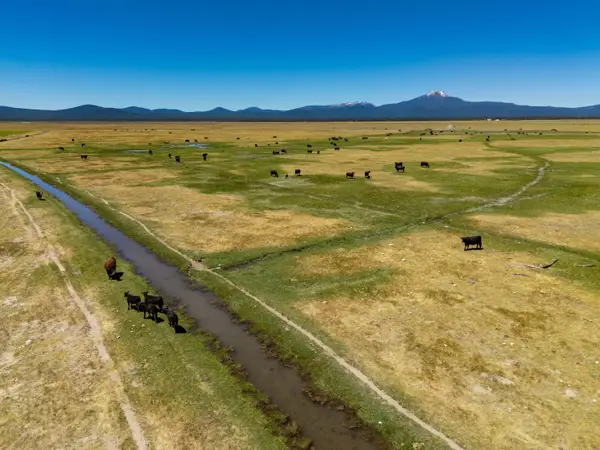 1950 Silver Lake Road, Chiloquin, OR 97624