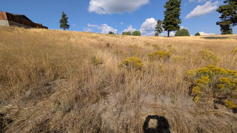 Cloutier Drive #8, Chiloquin, OR 97624 - #2