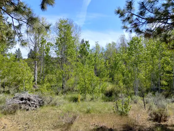 0 Forest View Drive #14-17, Chiloquin, OR 97624
