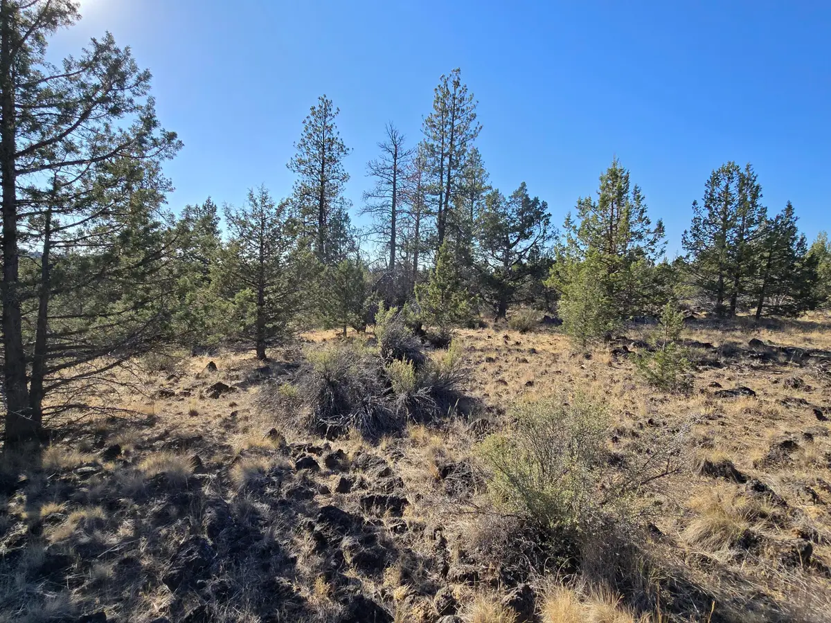 Blue Heron Drive, Bonanza, OR 97623 - #1
