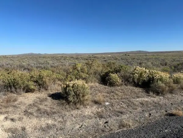 S Oil Dri (apn 8411) Road, Christmas Valley, OR 97641