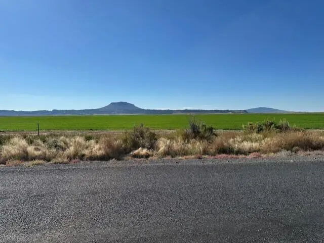 S Oil Dri (apn 8411) Road, Christmas Valley, OR 97641 - #2