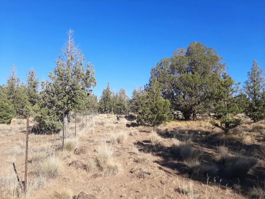 SE Tillamook Loop, Prineville, OR 97754 - #2