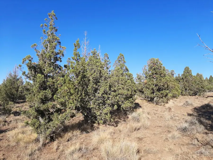 SE Tillamook Loop, Prineville, OR 97754 - #3