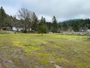 185 Browntown Road, Cave Junction, OR 97523 - #1