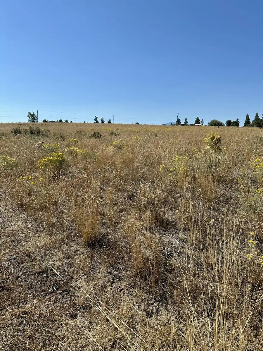 0 Newman Place #35, Chiloquin, OR 97624 - #3