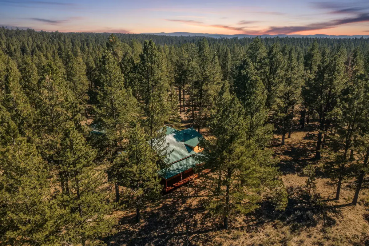 20779 Bear Gulch Road, Canyon City, OR 97820 - #1