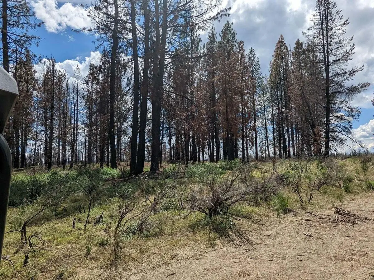 0 Bull Pine Road, Bly, OR 97622 - #1