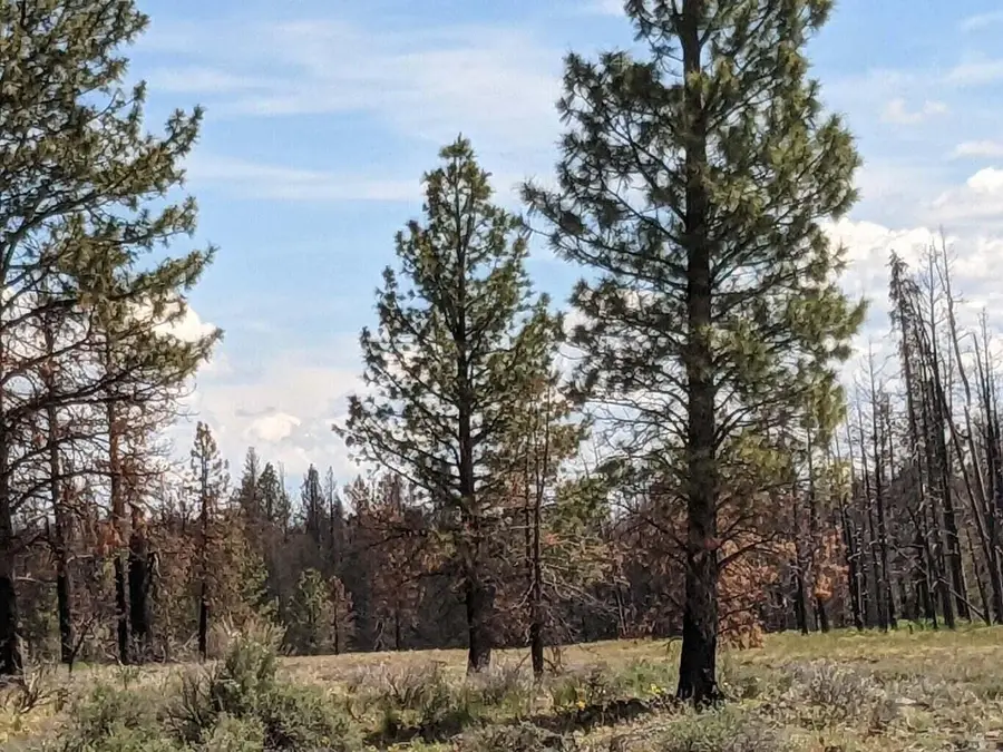 0 Bull Pine Road, Bly, OR 97622 - #2