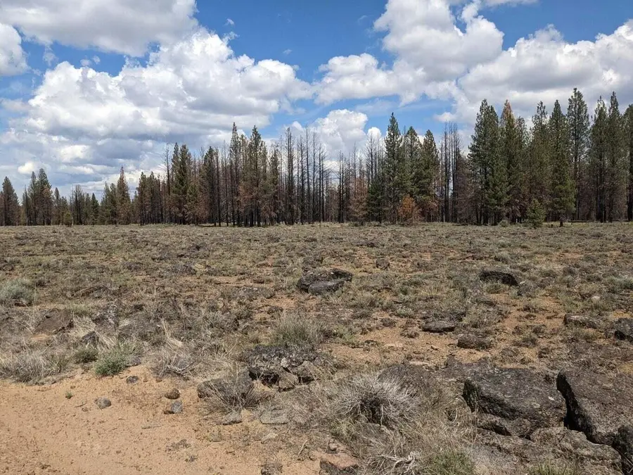 0 Bull Pine Road, Bly, OR 97622 - #3