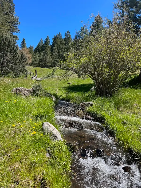 Cummings Creek Road, Mount Vernon, OR 97865
