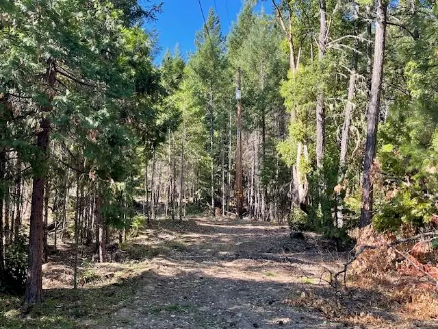 8000 Thompson Creek Road, Williams, OR 97544 - #3