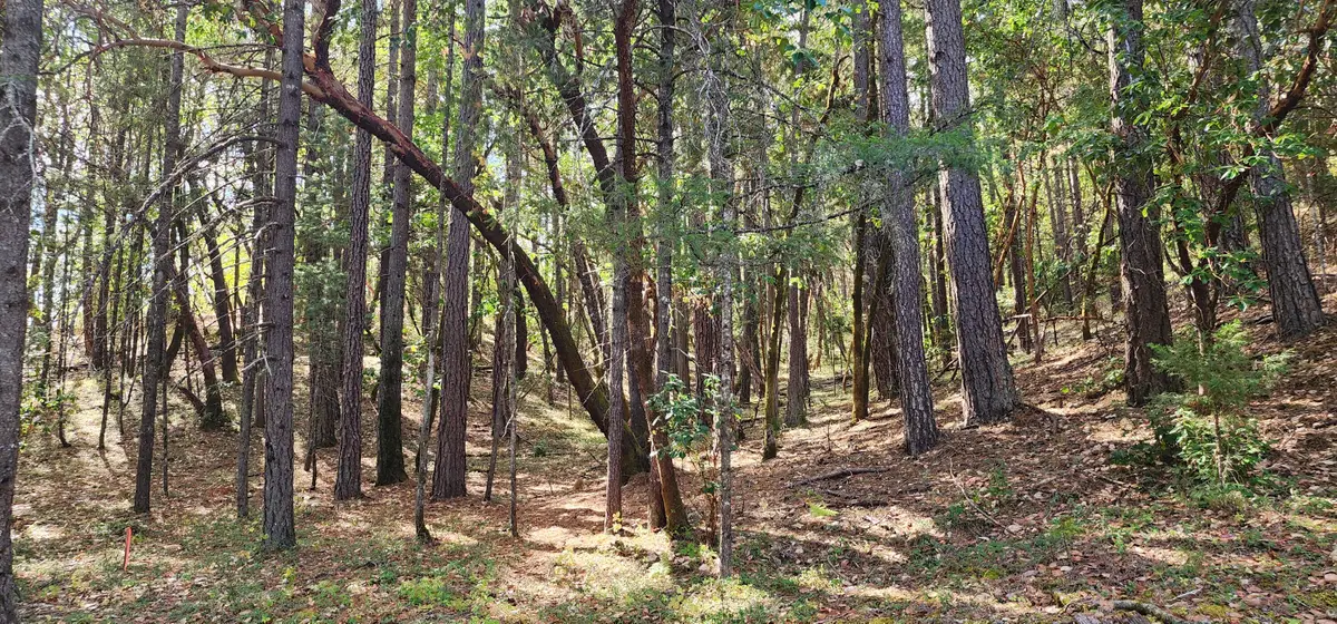 Pinecrest Drive, Grants Pass, OR 97526 - #1