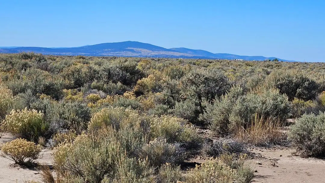 Off Twilight Road #TL 1700, Christmas Valley, OR 97641 - #1