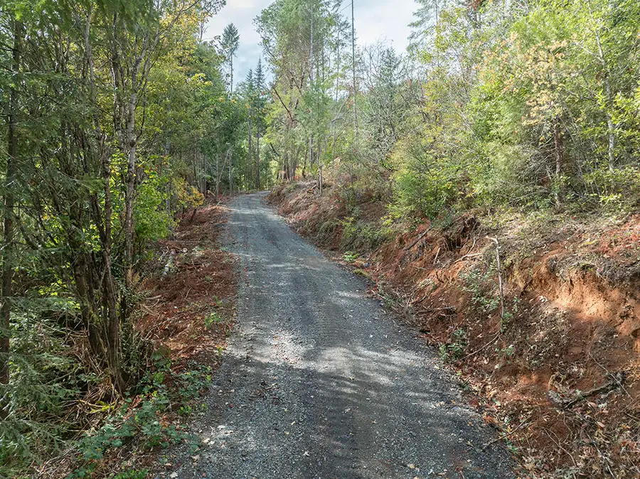 1132 Bridge Lane, Wolf Creek, OR 97497 - #2