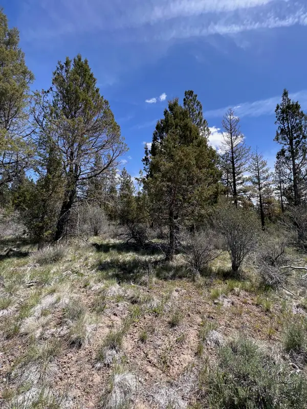 Glendale Drive #15, Beatty, OR 97621