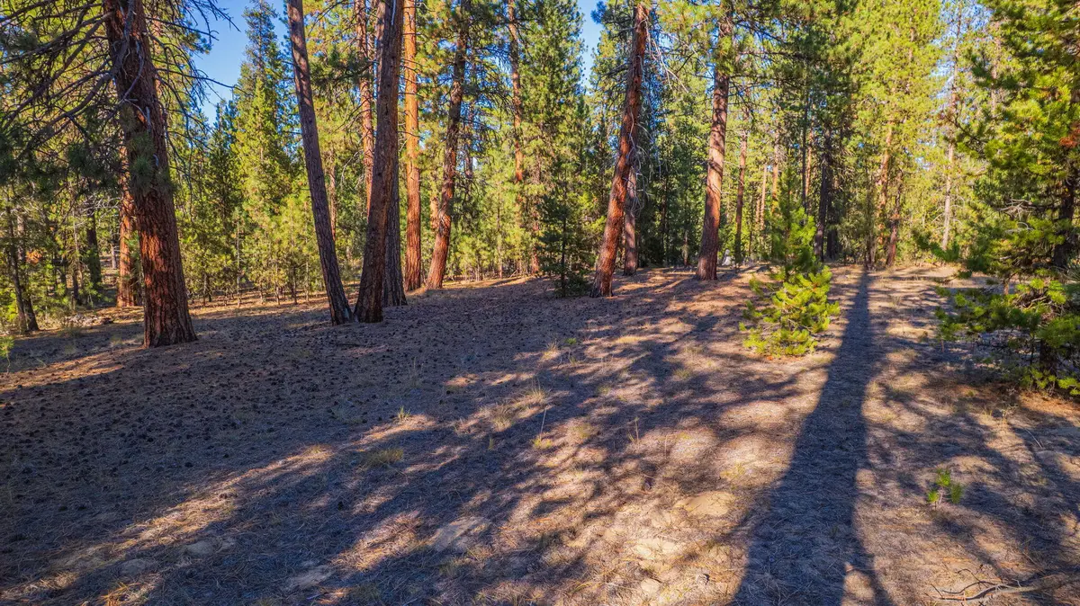 53582 Brookie Way, La Pine, OR 97739 - #1