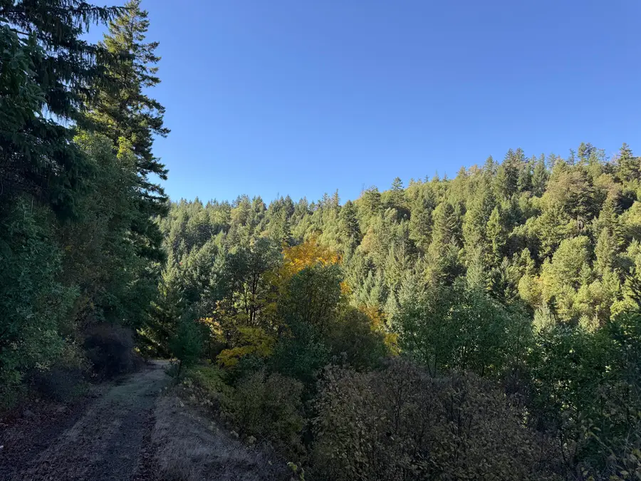160 Birdseye Cr Road, Rogue River, OR 97537 - #2