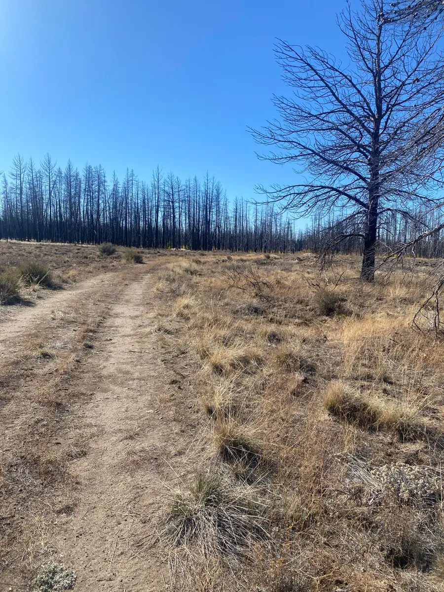 0 Bull Pine Road #4, Bly, OR 97622 - #3