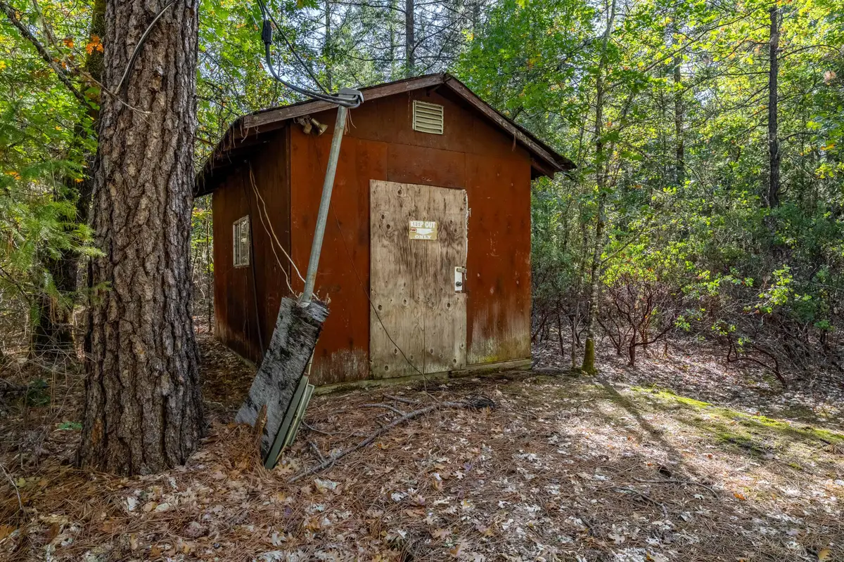 305 Floyd Lane, Cave Junction, OR 97523 - #1