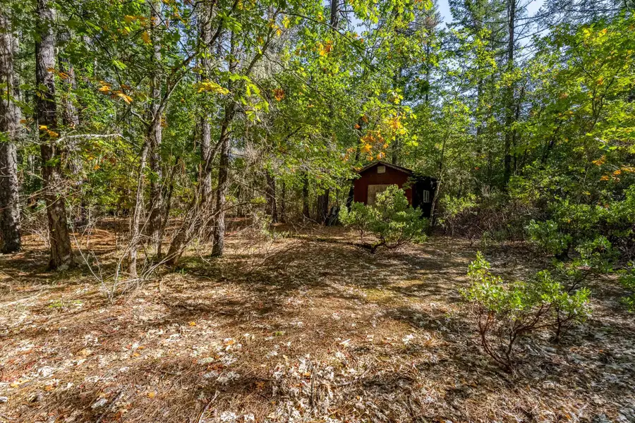 305 Floyd Lane, Cave Junction, OR 97523 - #2