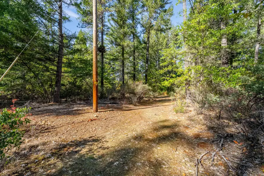 305 Floyd Lane, Cave Junction, OR 97523 - #3