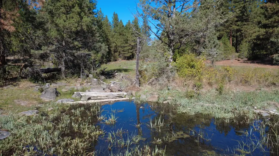 0 Hadwick Topsy Property, Klamath Falls, OR 97601 - #2