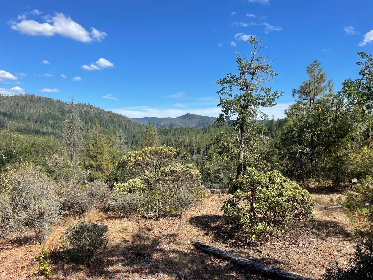 Loper Lane, Trail, OR 97541 - #1