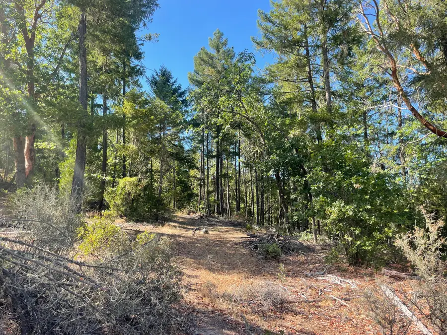 Loper Lane, Trail, OR 97541 - #2