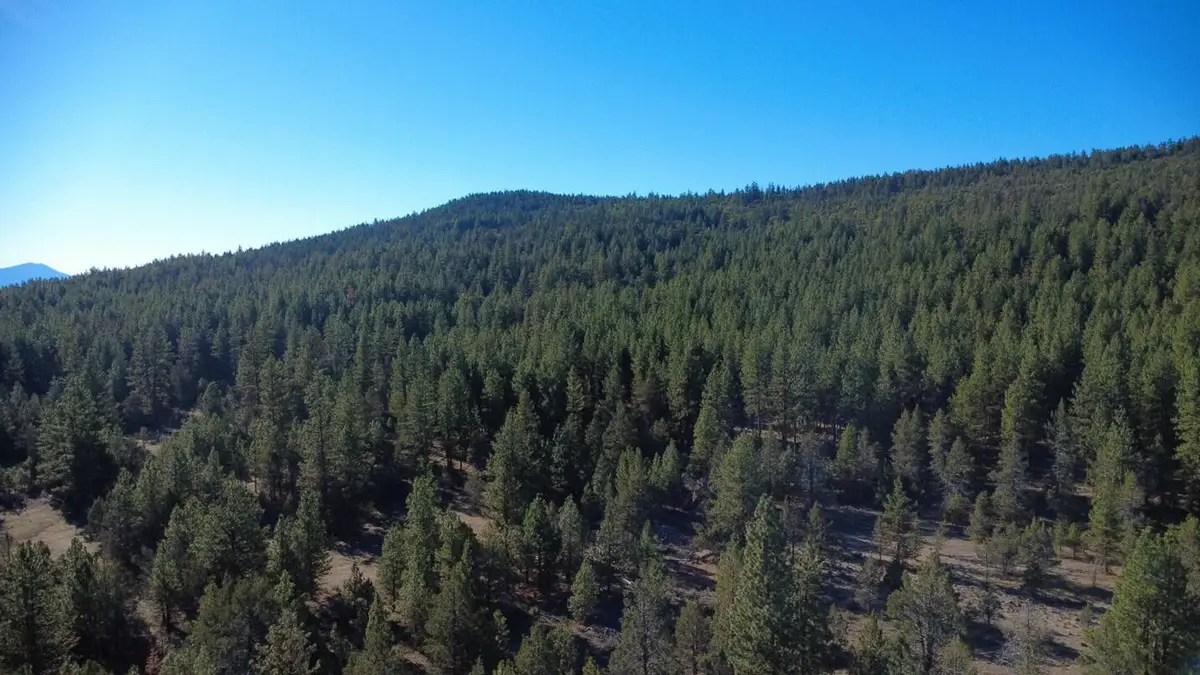 000 Kna Picard/ Old State Hwy Road, Dorris, CA 96023 - #1