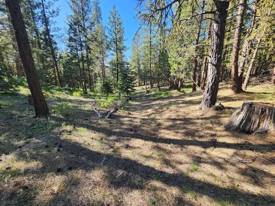 0 Beaver Lane, Bonanza, OR 97623 - #3