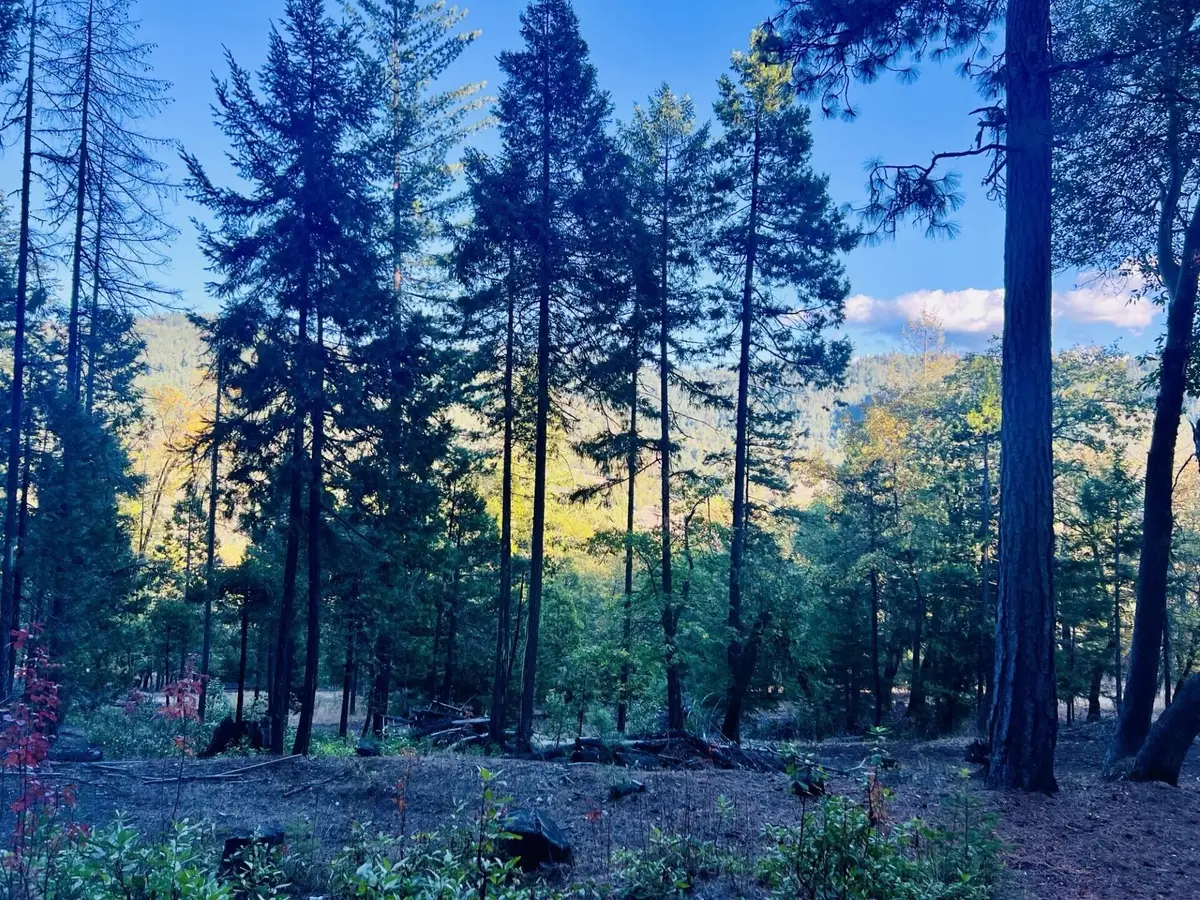 501 Elder Mill Road, Trail, OR 97541 - #1