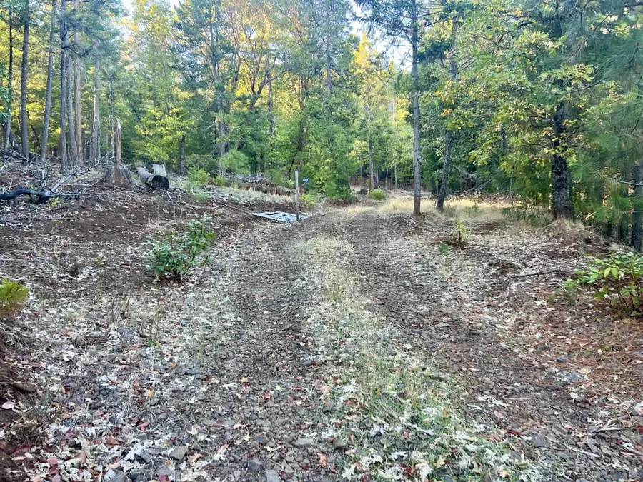 501 Elder Mill Road, Trail, OR 97541 - #2