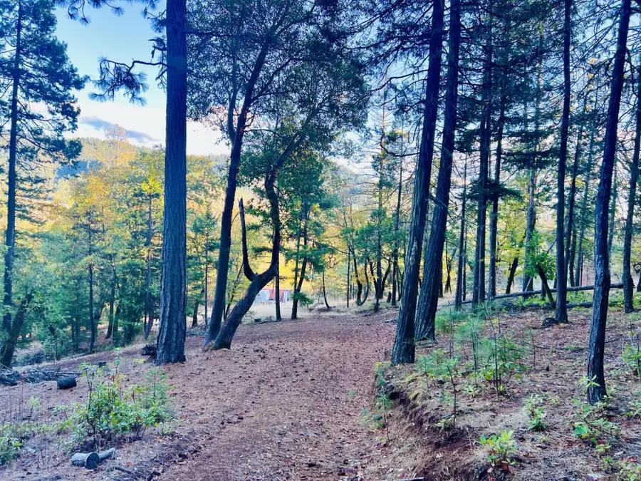 501 Elder Mill Road, Trail, OR 97541 - #3