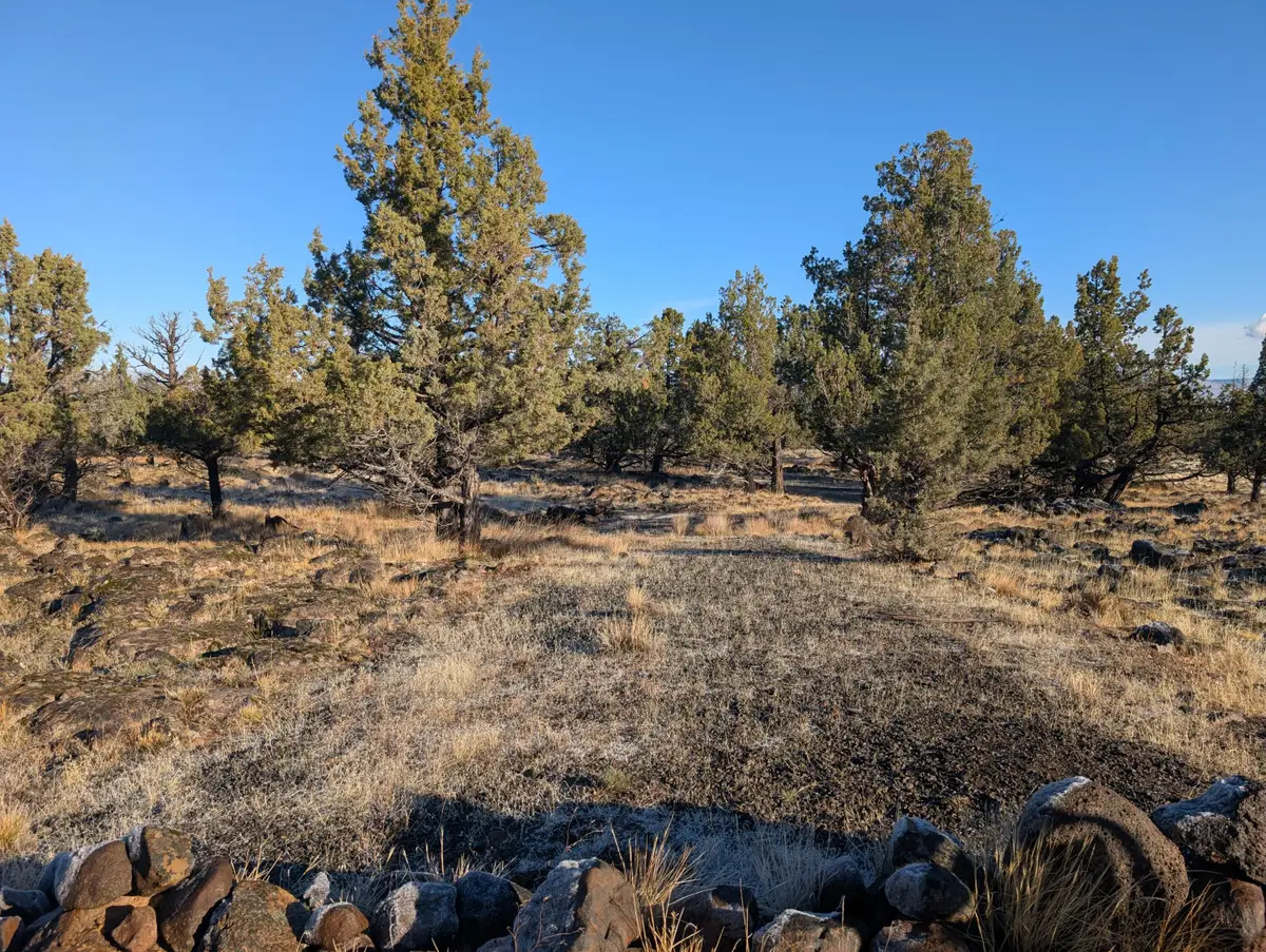 Cedar Trails #Lot 4, Keno, OR 97627 - #1