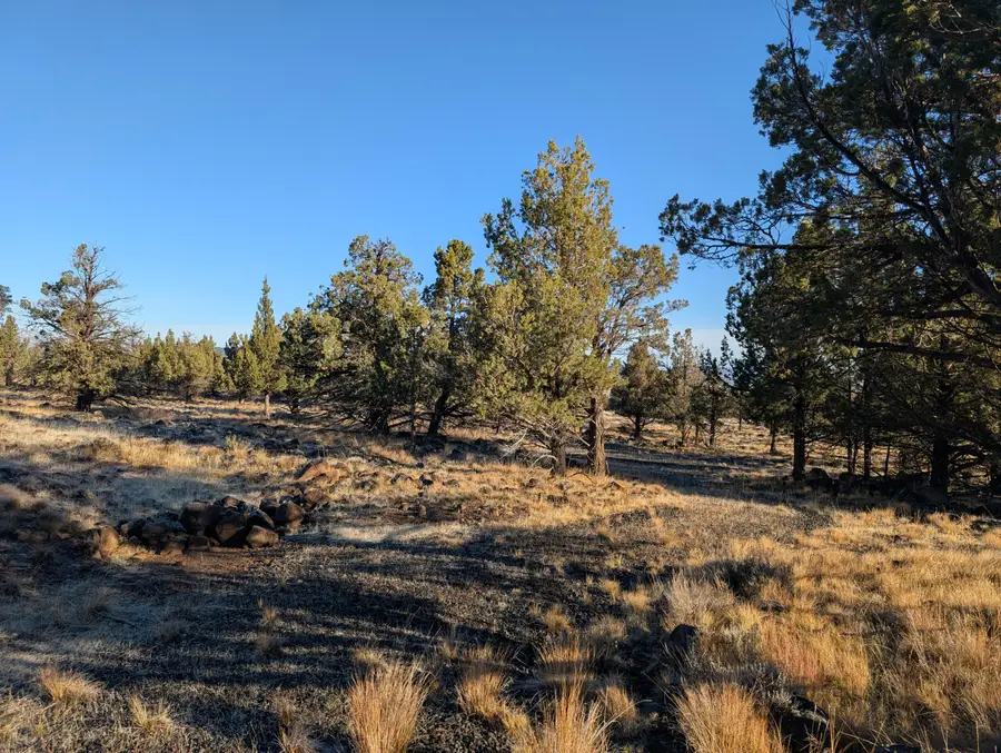 Cedar Trails #Lot 4, Keno, OR 97627 - #3
