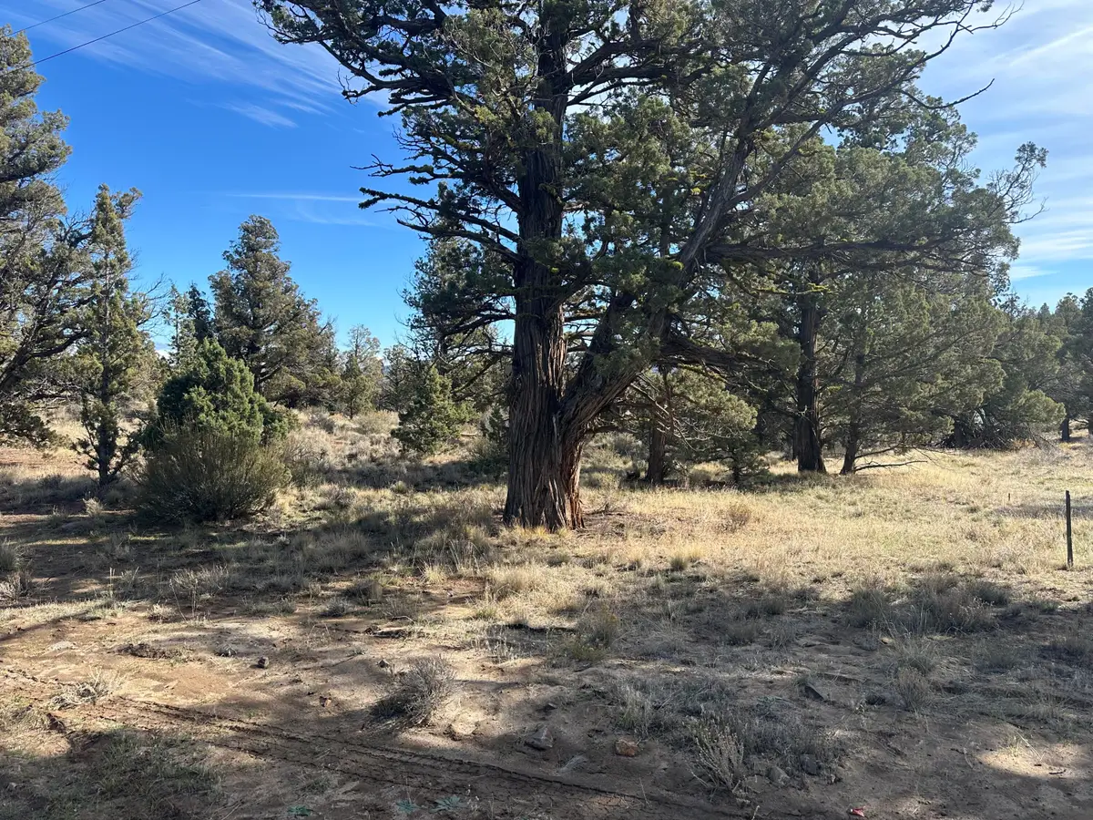 SE Renegade Loop #Lot 3, Prineville, OR 97754 - #1