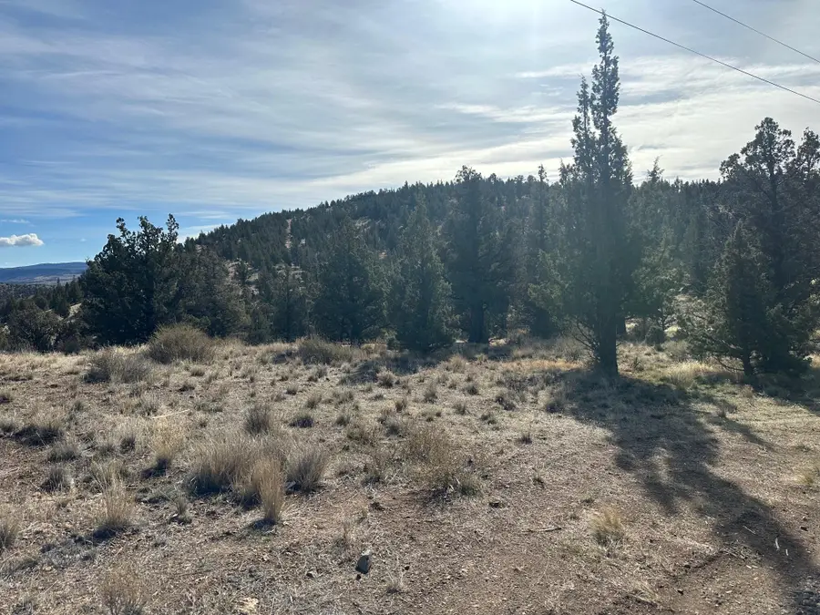 SE Renegade Loop #Lot 3, Prineville, OR 97754 - #3